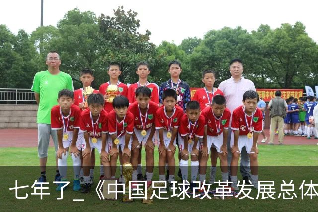 七年了 《中国足球改革发展总体方案》坚定落实了吗
